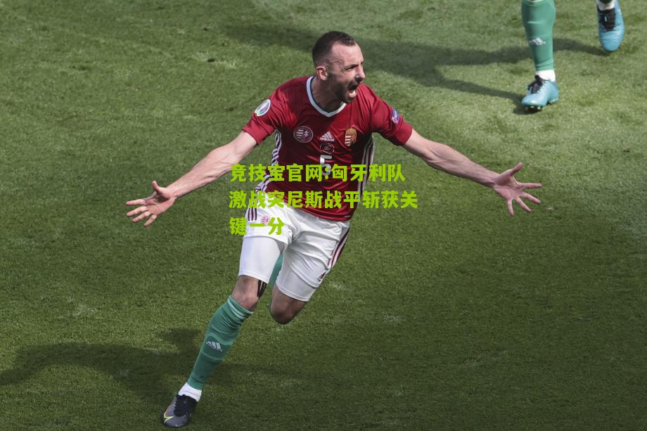 匈牙利队激战突尼斯战平斩获关键一分