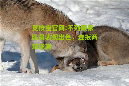 竞技宝官网:不列颠狼队员表现出色，连扳两球逆袭