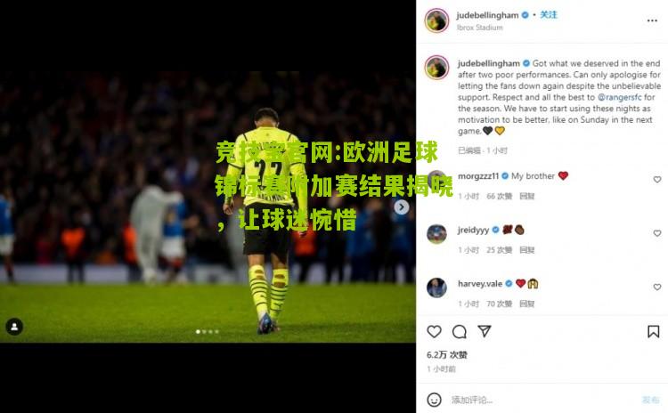 欧洲足球锦标赛附加赛结果揭晓，让球迷惋惜