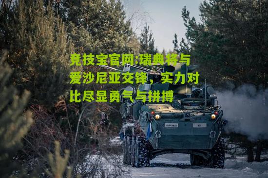 瑞典将与爱沙尼亚交锋，实力对比尽显勇气与拼搏