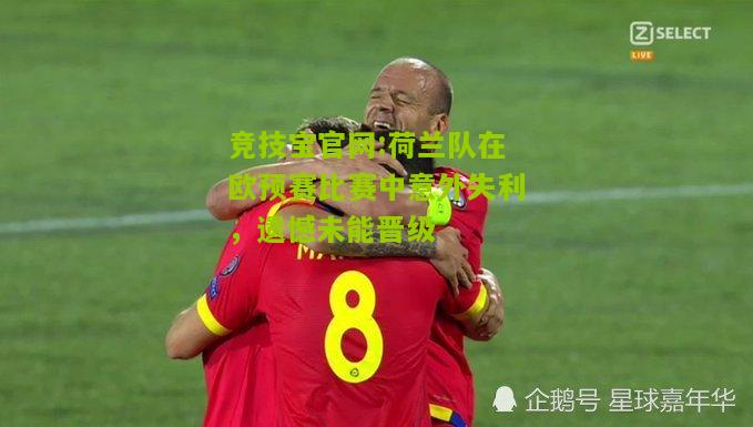 荷兰队在欧预赛比赛中意外失利，遗憾未能晋级