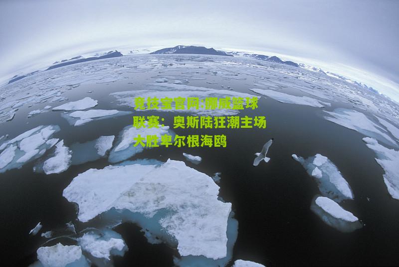 竞技宝官网:挪威篮球联赛：奥斯陆狂潮主场大胜卑尔根海鸥