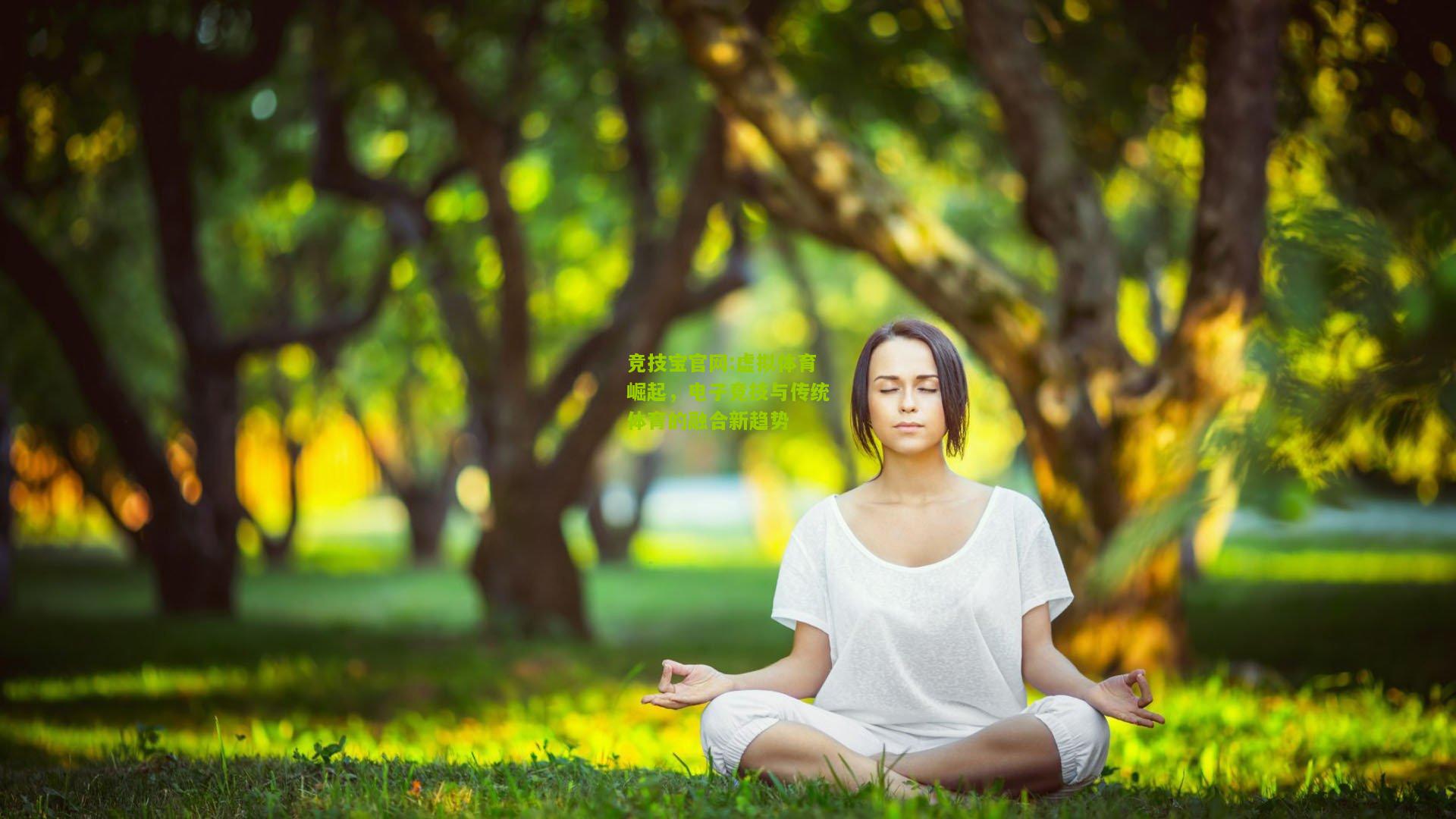 竞技宝官网:虚拟体育崛起，电子竞技与传统体育的融合新趋势